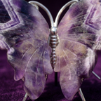 Butterfly - Amethyst